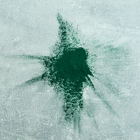 Spirulina