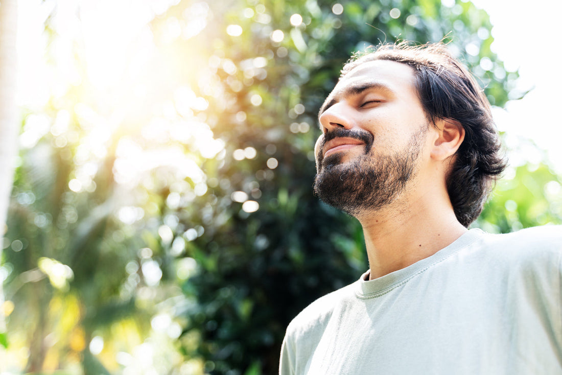 What Are Adaptogens? A Complete Guide to Anti-Stress Plants