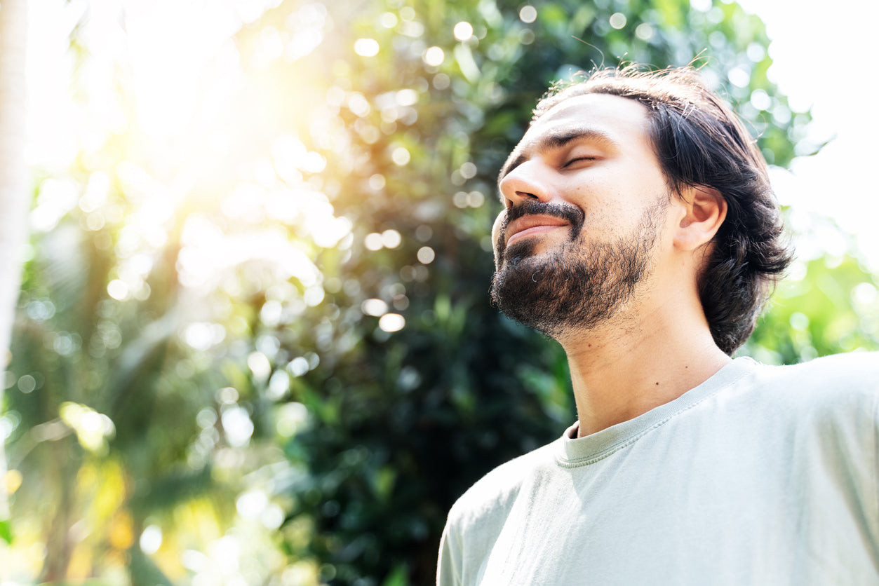What Are Adaptogens? A Complete Guide to Anti-Stress Plants