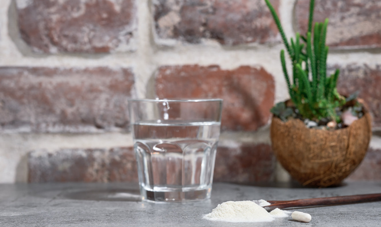 Nootropic Drink Energy Powder for Focus and Productivity