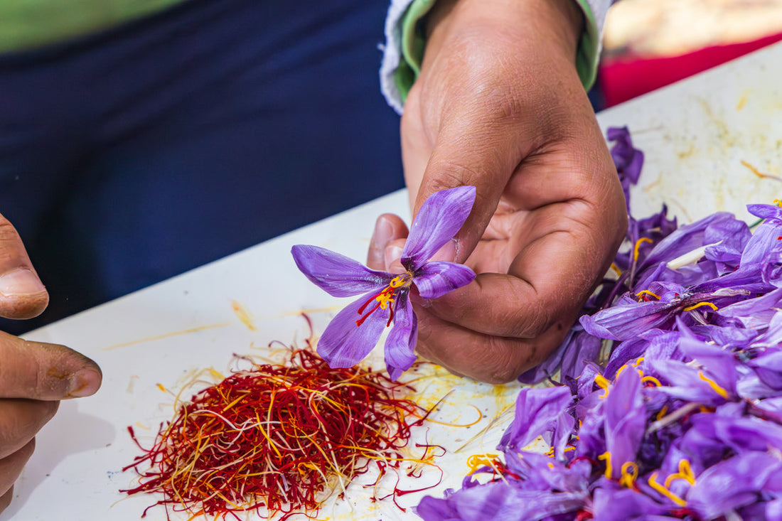 MTE: Spotlight on Saffron & How Plant Biology Interacts with Human Health