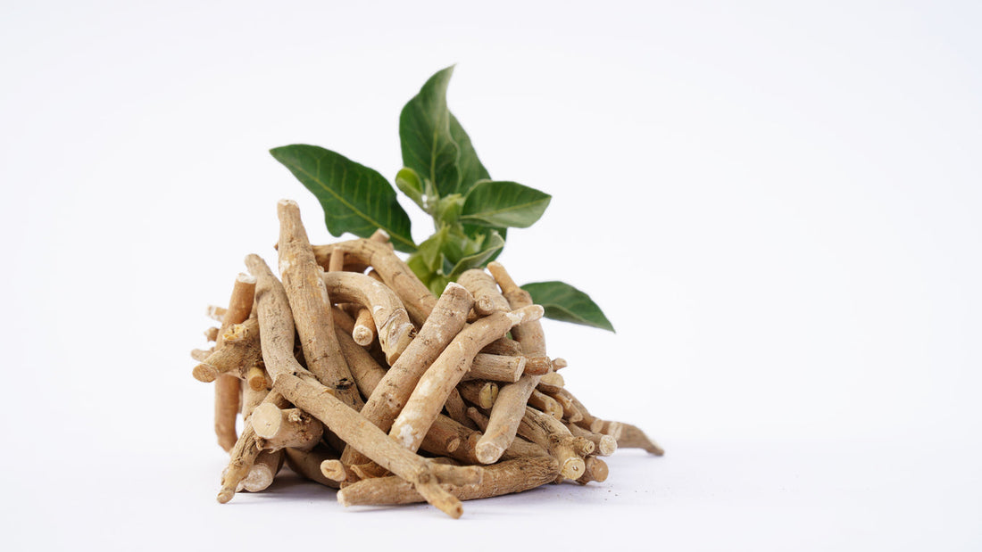 Can Holistic Energy Drink Powders with Ashwagandha Replace Caffeine?