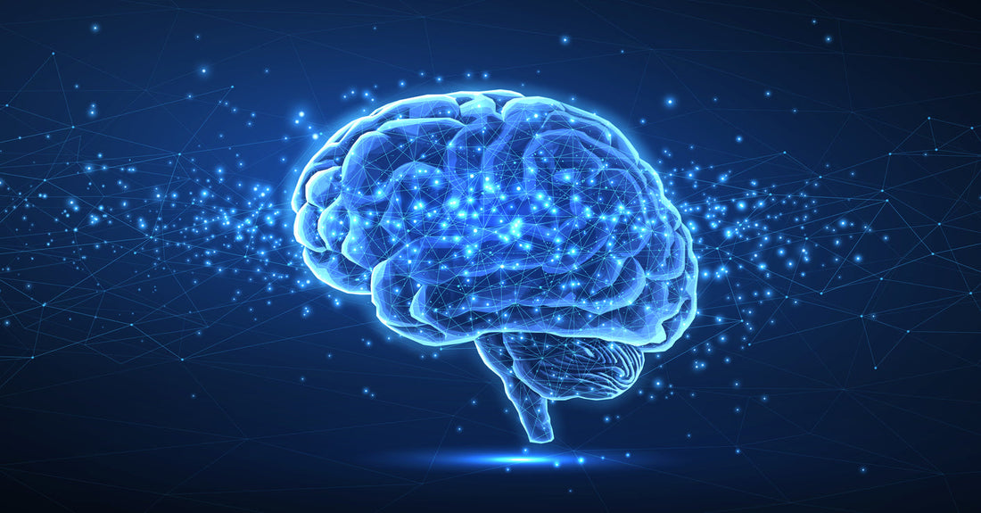 How to Build the Best Nootropic Blend for Optimal Focus, Energy, & Recovery