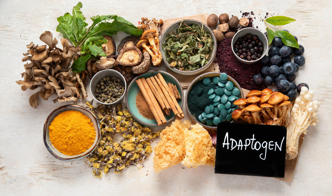 How to Biohack Stress & Mood with Targeted Adaptogen Stacks